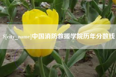 安吉中国消防救援学院历年分数线