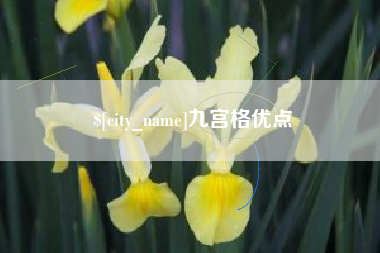 安吉九宫格优点