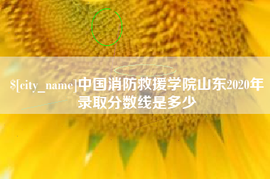 安吉中国消防救援学院山东2020年录取分数线是多少
