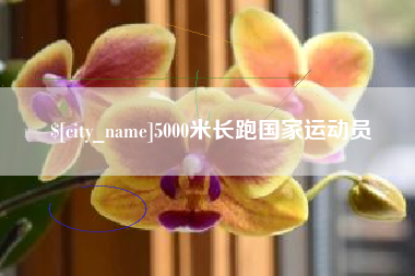 安吉5000米长跑国家运动员