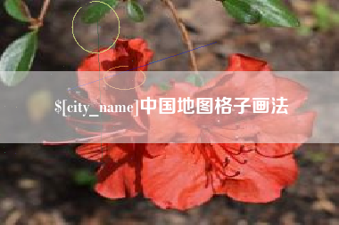 安吉中国地图格子画法