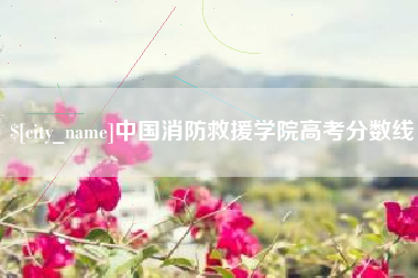 安吉中国消防救援学院高考分数线