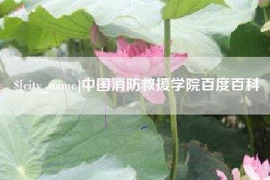 安吉中国消防救援学院百度百科