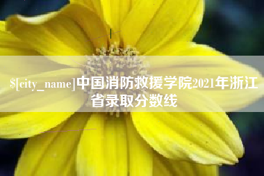 安吉中国消防救援学院2021年浙江省录取分数线