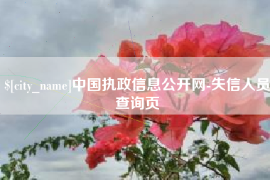 安吉中国执政信息公开网-失信人员查询页
