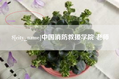 安吉中国消防救援学院 老师