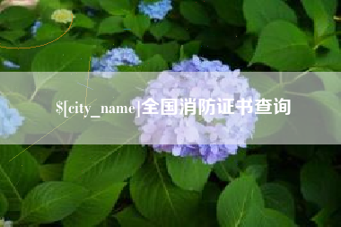 安吉全国消防证书查询