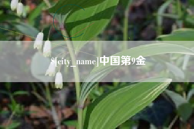 安吉中国第9金
