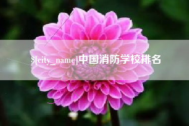 安吉中国消防学校排名