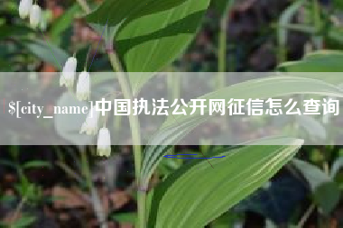 安吉中国执法公开网征信怎么查询
