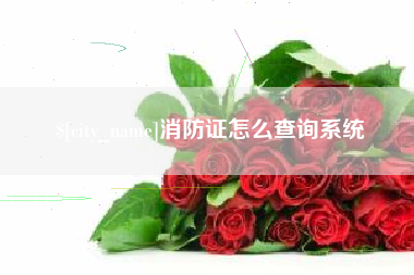 安吉消防证怎么查询系统