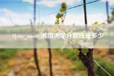 安吉消防大学分数线是多少