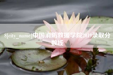 安吉中国消防救援学院2019录取分数线