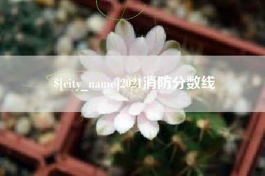 安吉2021消防分数线