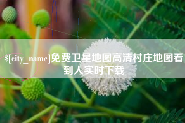 安吉免费卫星地图高清村庄地图看到人实时下载