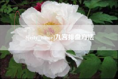 安吉九宫排盘方法