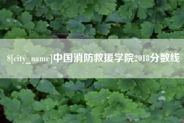 安吉中国消防救援学院2018分数线