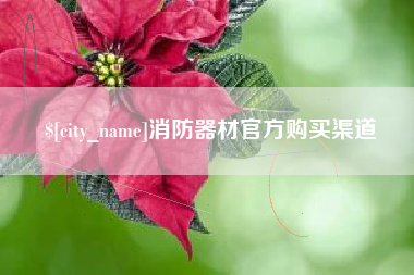 安吉消防器材官方购买渠道