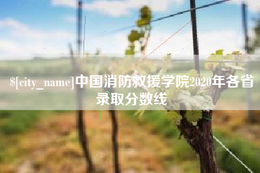 安吉中国消防救援学院2020年各省录取分数线