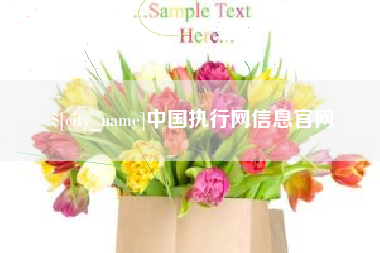 安吉中国执行网信息官网
