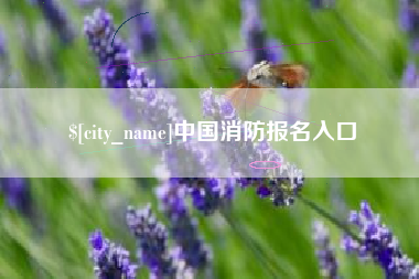 安吉中国消防报名入口