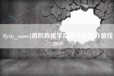安吉消防救援学院招生录取分数线2019