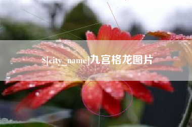 安吉九宫格龙图片