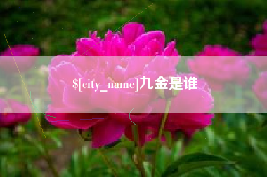 安吉九金是谁