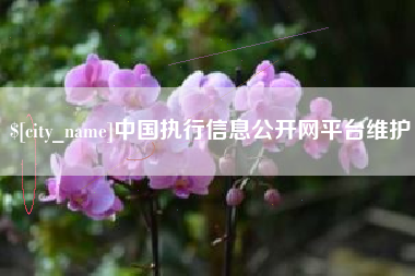 安吉中国执行信息公开网平台维护