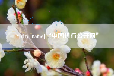 安吉“中国执行公开网”