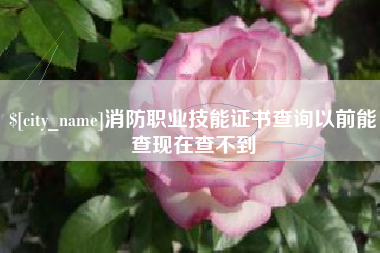 安吉消防职业技能证书查询以前能查现在查不到