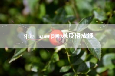 安吉5000米及格成绩
