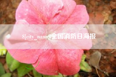 安吉全国消防日海报