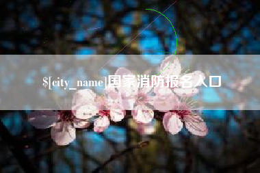 安吉国家消防报名入口