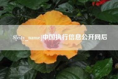 安吉中国执行信息公开网后