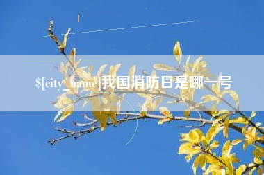 安吉我国消防日是哪一号