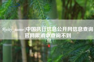 安吉中国执行信息公开网信息查询官网限消中查询不到