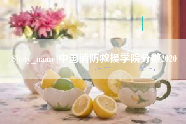 安吉中国消防救援学院分数2020
