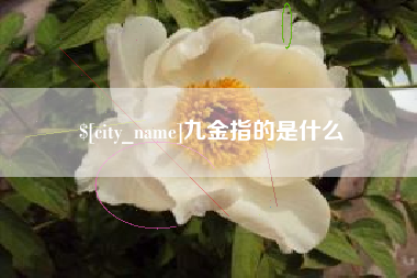 安吉九金指的是什么