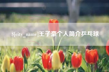 安吉王子豪个人简介乒乓球
