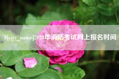 安吉2020年消防考试网上报名时间