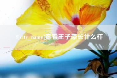 安吉看看王子豪长什么样