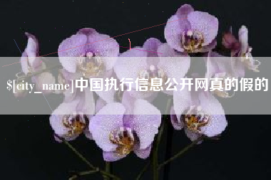 安吉中国执行信息公开网真的假的