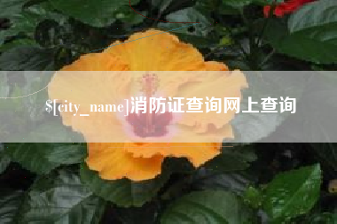 安吉消防证查询网上查询