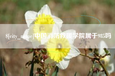 安吉中国消防救援学院属于985吗