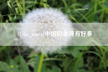 安吉中国的金牌有好多