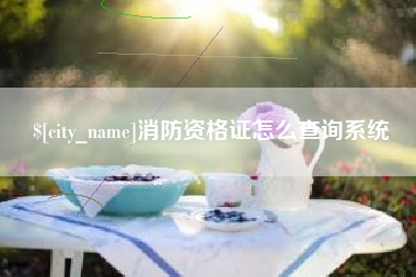 安吉消防资格证怎么查询系统