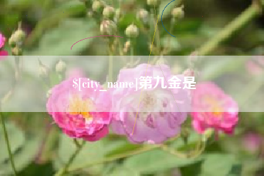 安吉第九金是