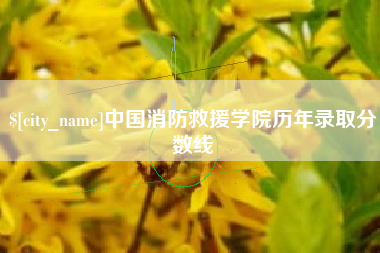 安吉中国消防救援学院历年录取分数线
