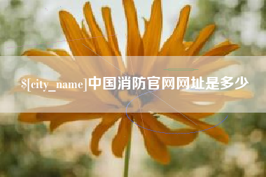 安吉中国消防官网网址是多少